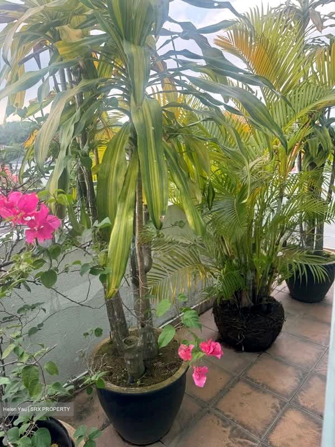 Freesia Woods (D21), Condominium #555698421